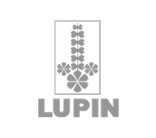 Lupin
